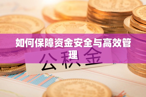 范县如何保障资金安全与高效管理