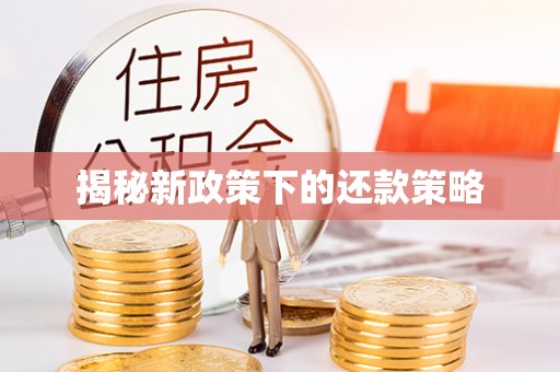 范县揭秘新政策下的还款策略