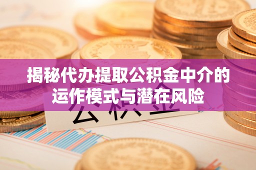 范县揭秘代办提取公积金中介的运作模式与潜在风险