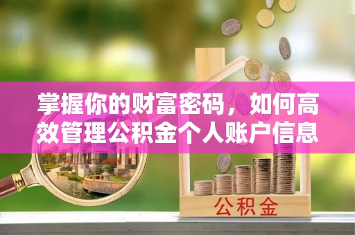 范县掌握你的财富密码，如何高效管理公积金个人账户信息