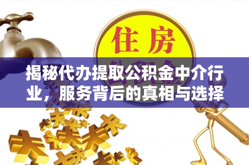 范县揭秘代办提取公积金中介行业，服务背后的真相与选择指南