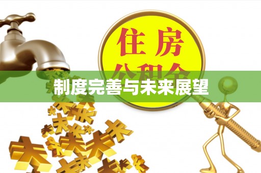 范县制度完善与未来展望
