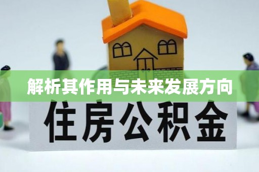 范县解析其作用与未来发展方向