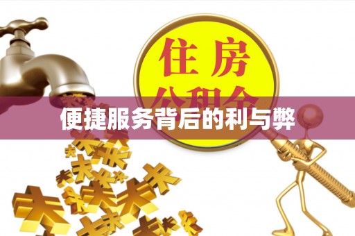 范县便捷服务背后的利与弊