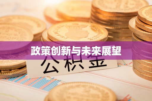 范县政策创新与未来展望