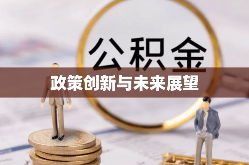 范县政策创新与未来展望